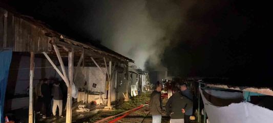 Bursa'da hayvan çiftliği alevlere teslim oldu