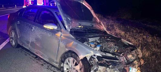 Kastamonu'da otomobil domuz sürüsüne çarptı: 2 yaralı