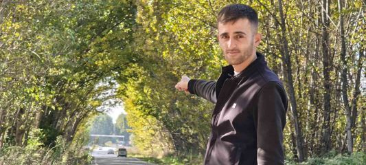 Tokat'ta kavak ağaçlarından sonbahar tüneli