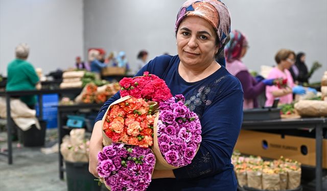 Çiçek sektörü, ihracatı artırmak için dünyayı dolaşıyor