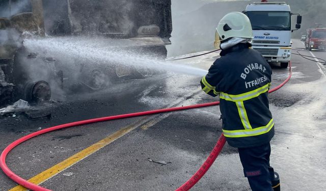 Sinop'ta seyir halindeyken alev alan kamyon tamamen yandı