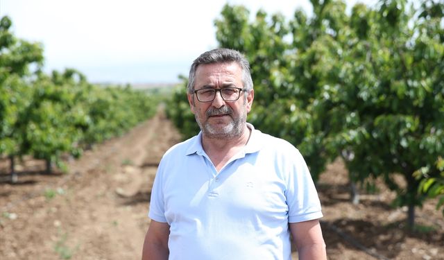 TZOB Genel Başkanı Bayraktar, Eskişehir'de zirai dondan etkilenen kiraz bahçelerini inceledi