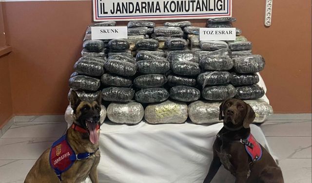 Van'da 90 kilo 608 gram uyuşturucu ele geçirildi