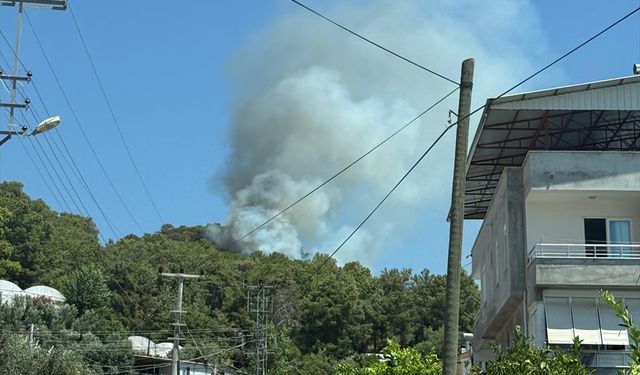 Antalya'da çıkan orman yangınına müdahale ediliyor