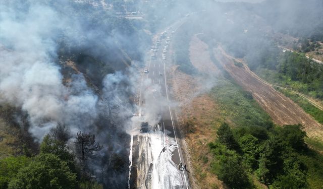 Bursa'da tırdan ormanlık alana sıçrayan yangın söndürüldü
