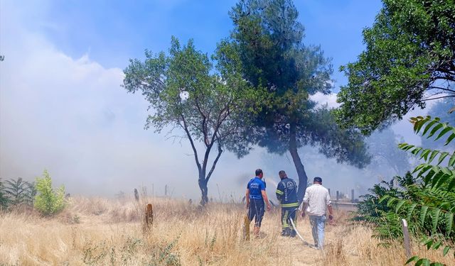 Denizli'de otluk alanda çıkan yangın kontrol altında