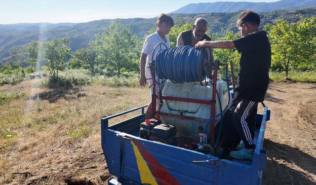 Düzce'de çıkan örtü yangını ekiplerin müdahalesiyle kontrol altına alındı