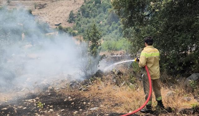 GÜNCELLEME - Antalya'da makilik alanda çıkan yangın kontrol altına alındı
