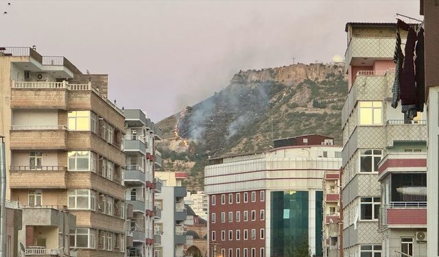 Mardin'de tarihi kale eteklerinde çıkan örtü yangını kontrol altına alındı