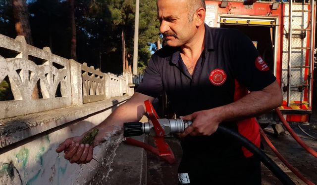 Tokat'ta çıkan yangın 3 eve hasar verdi