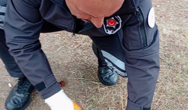 Yozgat'ta kafası konserve kutusuna sıkışan kediyi güvenlik görevlisi kurtardı
