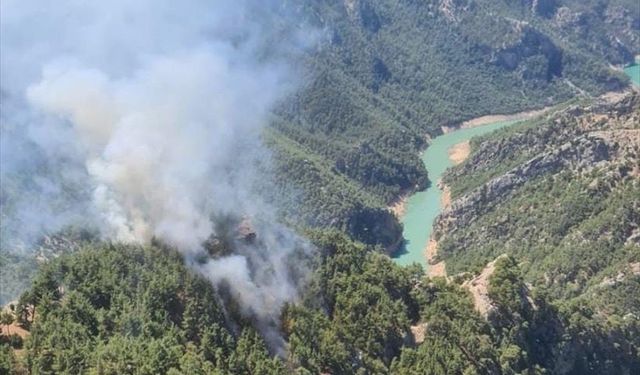 Adana'da ormanlık alanda yangın çıktı
