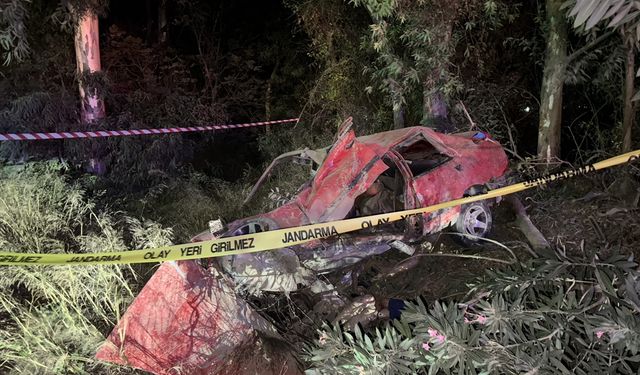 Aydın'da ağaca çarpan otomobildeki 2 kişi öldü