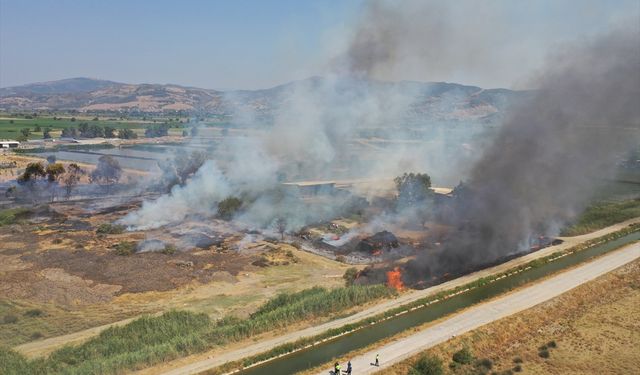 Aydın'da otluk alanda çıkan yangın söndürüldü