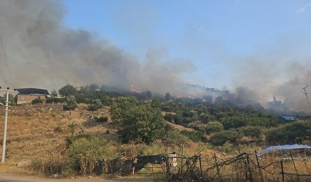 Aydın'da tarım alanında çıkan yangın kontrol altına alındı