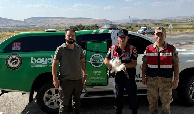 Batman'da jandarmanın bulduğu yaralı leylek tedaviye alındı