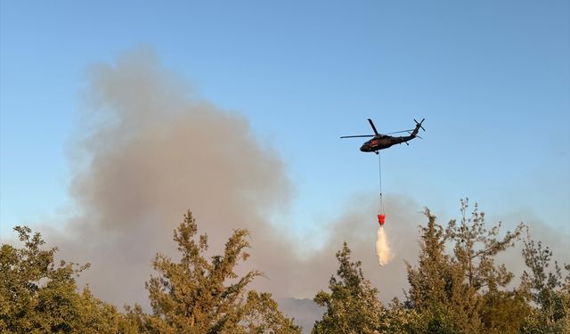 Bursa'da orman yangınına havadan ve karadan müdahale ediliyor