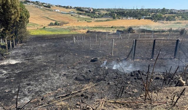 Büyükçekmece'de otluk ve ekili alanda çıkan yangın söndürüldü
