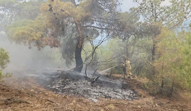 Çorum'da yıldırım düşmesi nedeniyle ormanlık alanda çıkan iki yangın söndürüldü