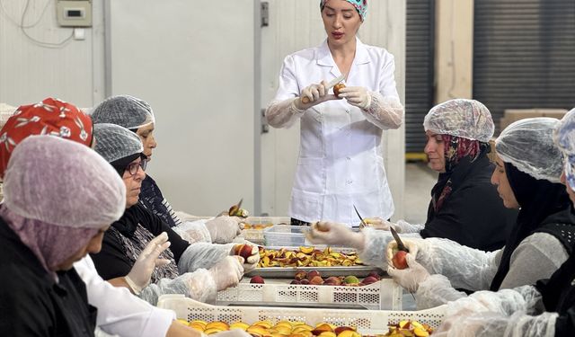 Depremzede kadın girişimci kuruttuğu meyve ve sebzelerle ihracata açıldı