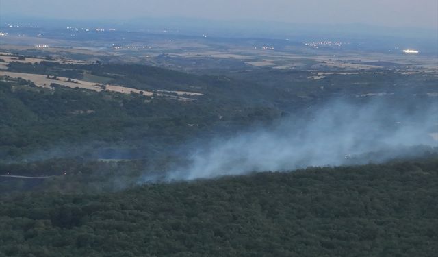 Edirne'de ormanlık alanda çıkan yangın söndürüldü