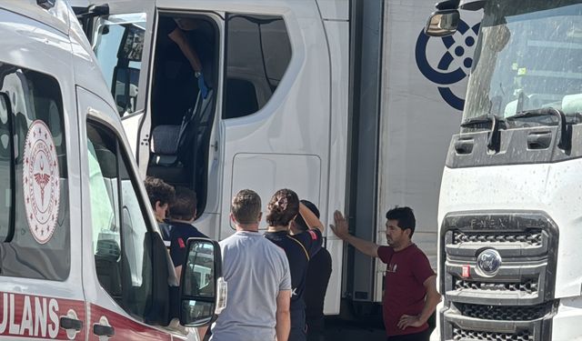 Edirne'de tır sürücüsü aracında ölü bulundu