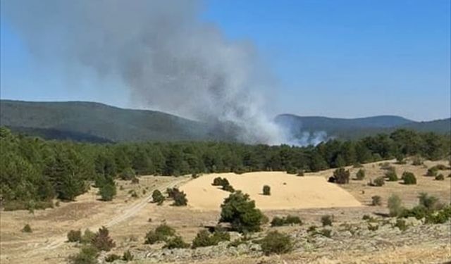 Eskişehir'de ormanlık alanda yangın çıktı