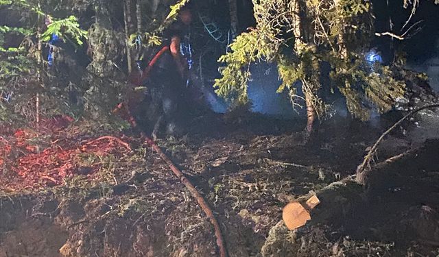 Gümüşhane'de ormanlık alanda çıkan yangın söndürüldü