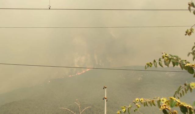 GÜNCELLEME 2 - Sakarya'dan Bilecik tarafına sıçrayan orman yangınına 3. gününde müdahale sürüyor