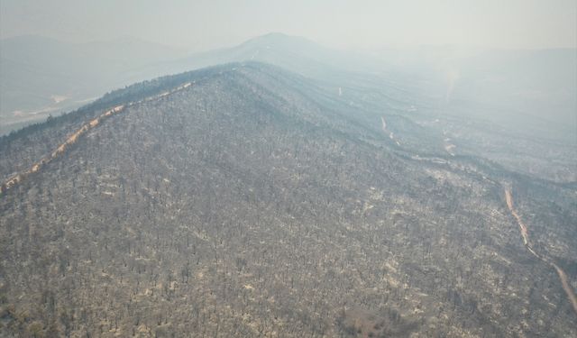 GÜNCELLEME 3 - Sakarya'dan Bilecik tarafına sıçrayan orman yangınına müdahale sürüyor