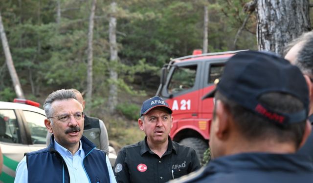GÜNCELLEME 4 - Eskişehir'de ormanlık alanda çıkan yangına müdahale ediliyor