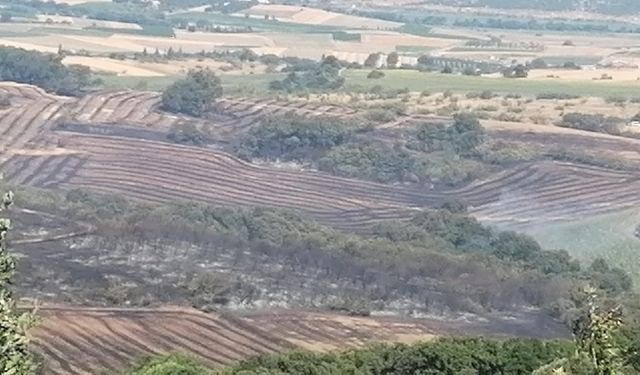 GÜNCELLEME - Balıkesir'de arazide çıkan yangın kontrol altına alındı