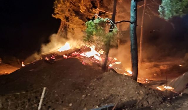 GÜNCELLEME - Bilecik'te çiftlikte başlayıp ormanlık alana sıçrayan yangın kontrol altına alındı