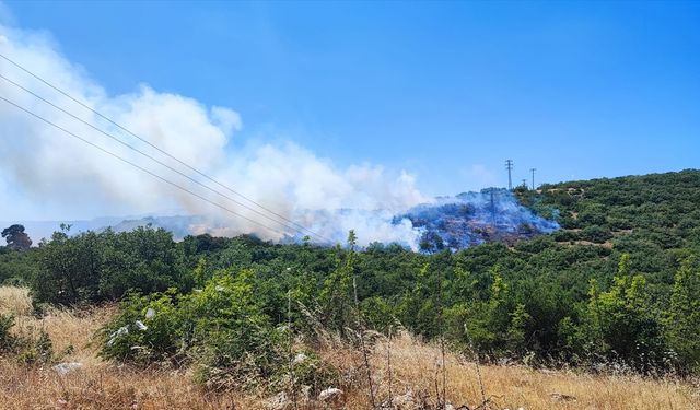 GÜNCELLEME - Bursa'nın 2 ilçesinde çıkan orman yangınından biri kontrol altına alındı