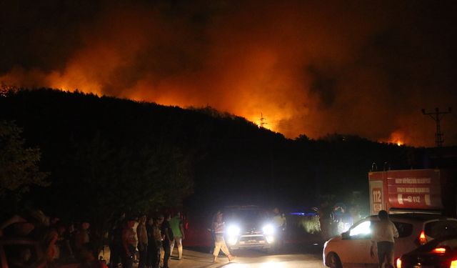 GÜNCELLEME - Hatay Dörtyol'da orman yangını çıktı
