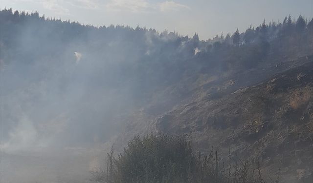 GÜNCELLEME - Malatya'nın Pütürge ve Doğanyol ilçelerindeki orman yangınları kontrol altına alındı
