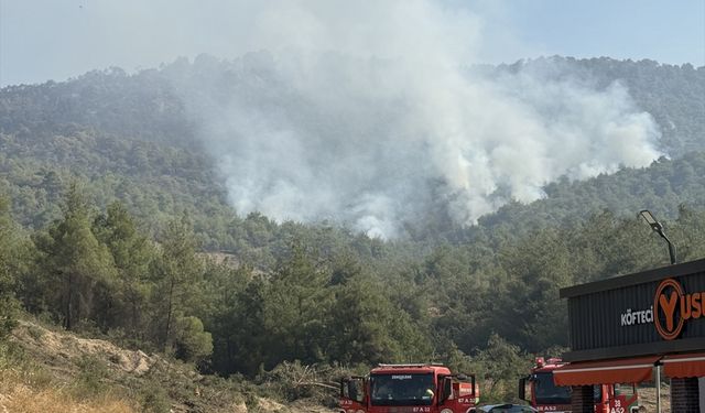 GÜNCELLEME - Sakarya'dan Bilecik tarafına sıçrayan orman yangınına 3. gününde müdahale sürüyor