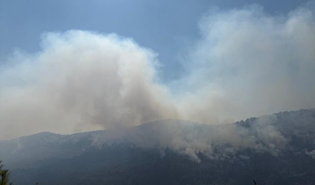 GÜNCELLEME - Sakarya'dan Bilecik tarafına sıçrayan orman yangınına müdahale sürüyor