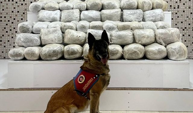 İran'dan katırla getirilen 97 kilogram sentetik uyuşturucu ele geçirildi