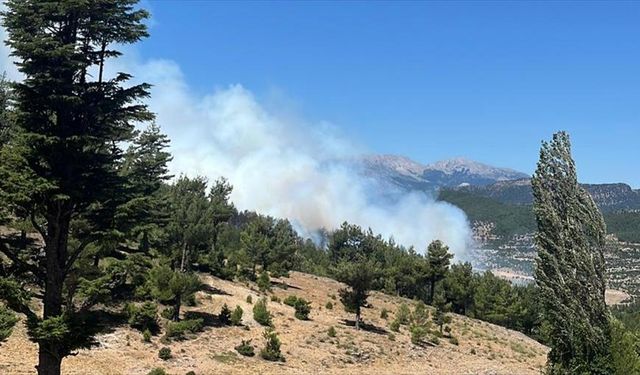 Isparta'da çıkan orman yangınına müdahale ediliyor