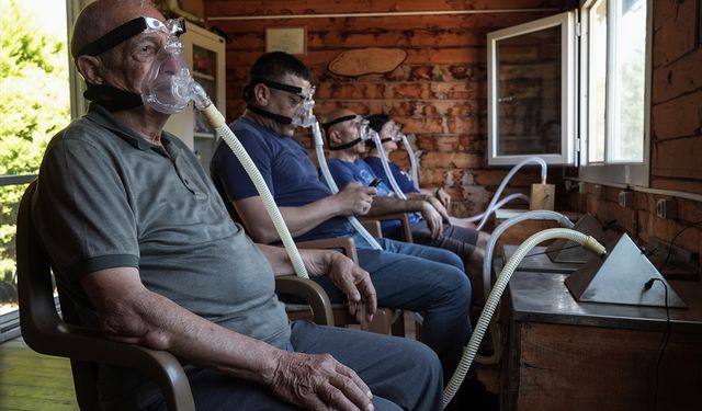 İzmir'de alerji, solunum ve bağışıklık sistemi sorunu yaşayanlar 'arı havası' alıyor