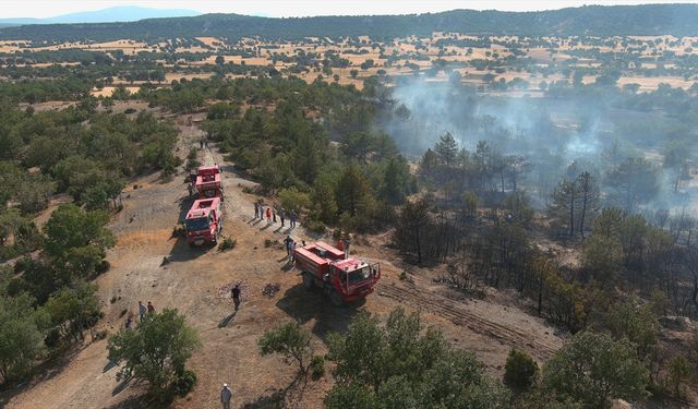 Kütahya'da ormanlık alandaki yangın kontrol altına alındı
