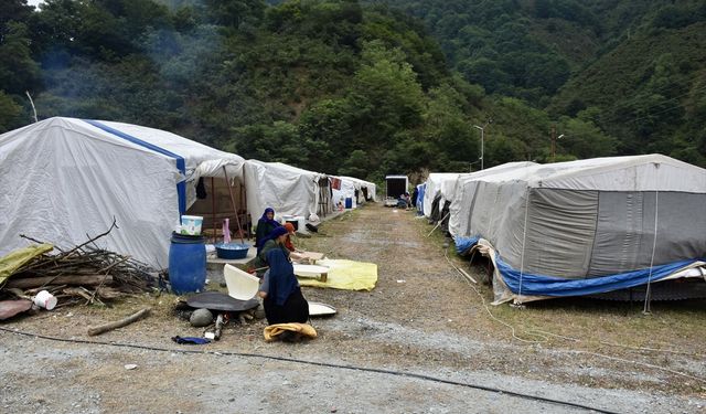 Mevsimlik tarım işçileri fındık hasadı için Ordu'ya gelmeye başladı