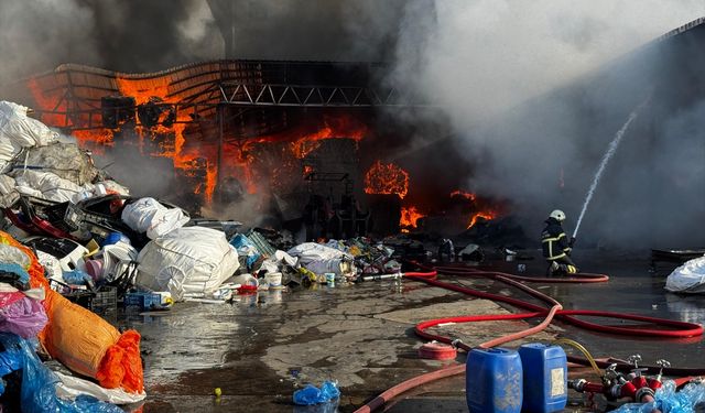 Ordu'da geri dönüşüm tesisinde yangın çıktı