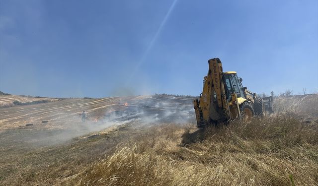 Samsun'da çıkan yangında yaklaşık 50 dönüm tarım arazisi zarar gördü