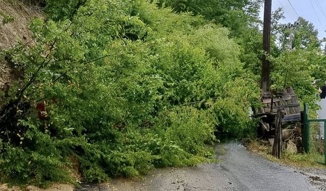 Samsun'da sağanak nedeniyle mahalle grup yolunda heyelan oluştu
