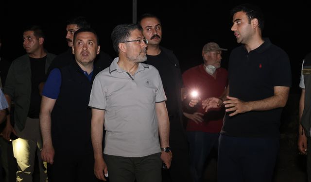 Tarım ve Orman Bakanı Yumaklı, Bilecik'te orman yangınlarıyla ilgili son durumu paylaştı: