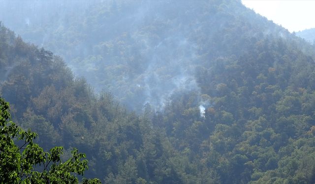 Tarım ve Orman Bakanı Yumaklı, Urla'daki orman yangınının kontrol altına alındığını, Sakarya-Bilecik ve Eskişehir'deki yangınların da büyük oranda kontrol altında olduğunu açıkladı