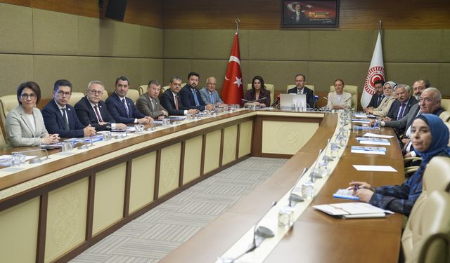 TBMM Engellilerin Sorunlarını Araştırma Komisyonu ilk toplantısını yaptı
