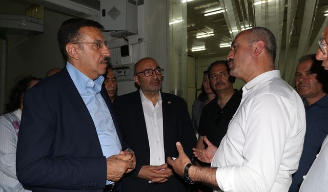 TBMM Zirai Don Olayını Araştırma Komisyonu üyeleri, Eskişehir'deki kiraz bahçelerini inceledi